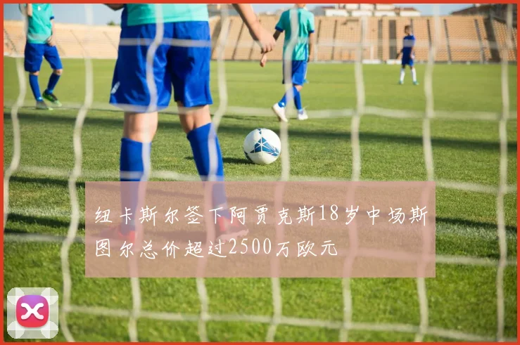 纽卡斯尔签下阿贾克斯18岁中场斯图尔总价超过2500万欧元